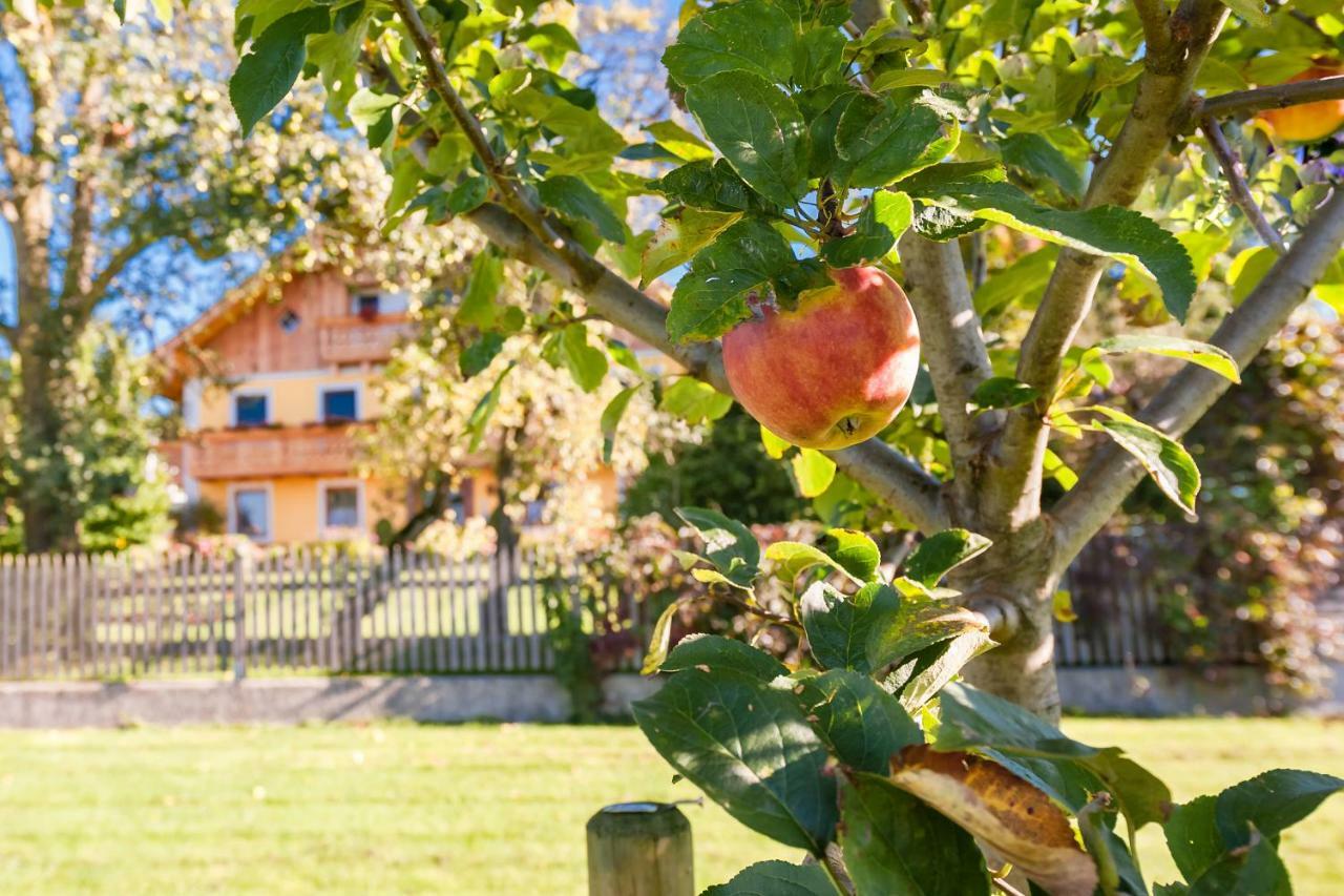 Girlinggut Schlafen Starten Salzburg Elixhausen Zewnętrze zdjęcie
